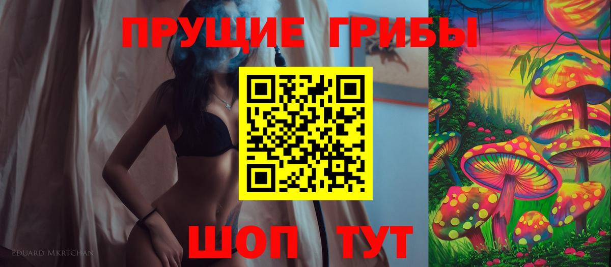 Новокубанск  где купить   Вход с VPN  Псилоцибиновые грибы Cubensis 